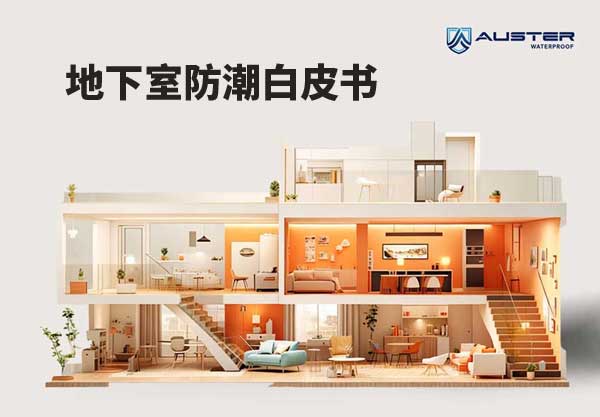 2025年中国地下室潮湿发霉防潮技术白皮书发布